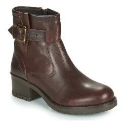 Dream in Green - NETISE Marron Discount