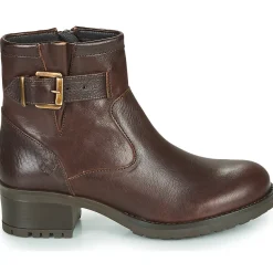 Dream in Green - NETISE Marron Discount