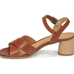 Dream in Green - ODAINE Tan New