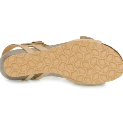 Dream in Green - PHILEAS beige Online