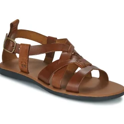 Dream in Green - QUESELLE Camel Hot