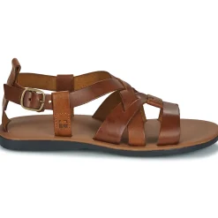 Dream in Green - QUESELLE Camel Hot