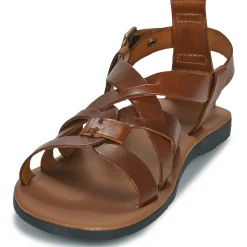 Dream in Green - QUESELLE Camel Hot