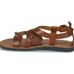Dream in Green - QUESELLE Camel Hot