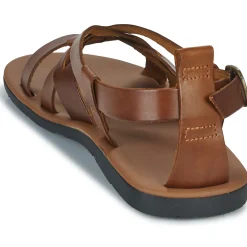 Dream in Green - QUESELLE Camel Hot