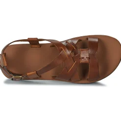 Dream in Green - QUESELLE Camel Hot