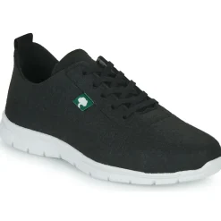 Dream in Green - SOTIS Noir Clearance
