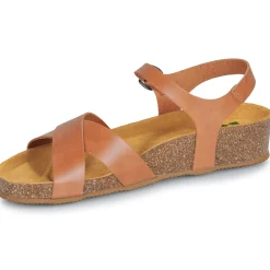Dream in Green - TSILIA Camel Clearance