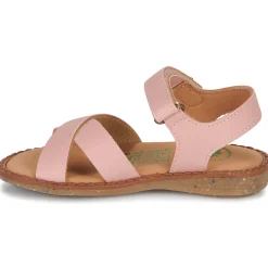 El Naturalista - ATENAS Rose New