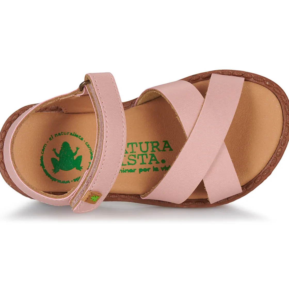 El Naturalista - ATENAS Rose New