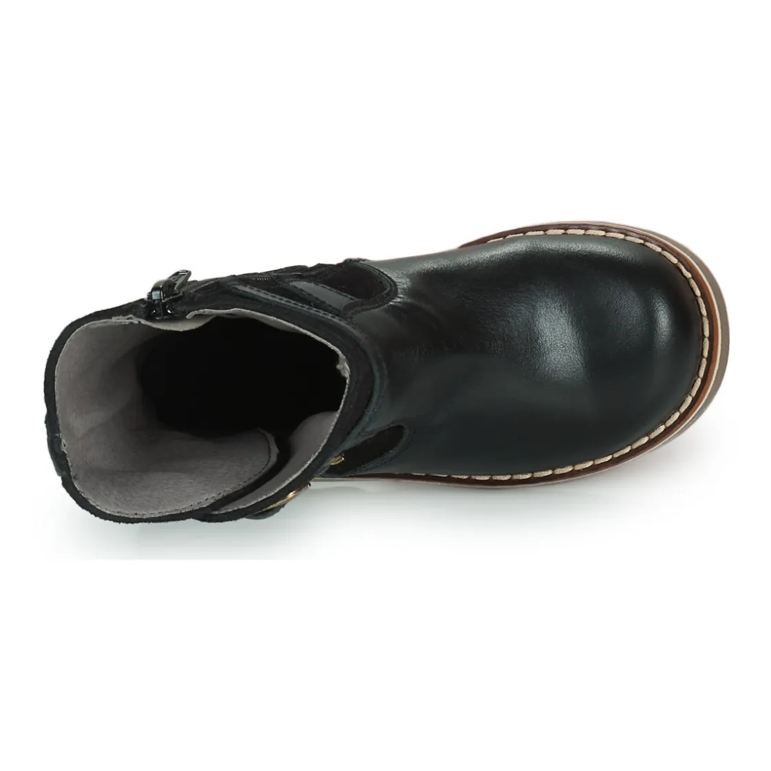 El Naturalista - BROSSI Noir Discount
