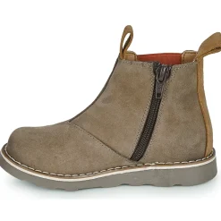 El Naturalista Bottines / Boots^- BROSSI