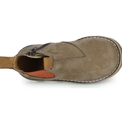 El Naturalista Bottines / Boots^- BROSSI