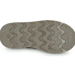 El Naturalista Bottines / Boots^- BROSSI