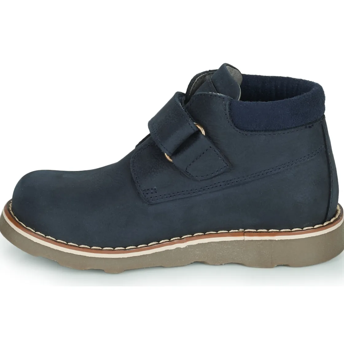 El Naturalista Bottines / Boots^- BROSSI