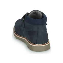 El Naturalista Bottines / Boots^- BROSSI