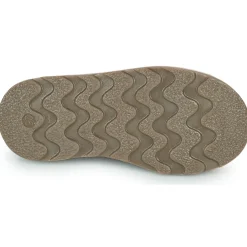 El Naturalista Bottines / Boots^- BROSSI