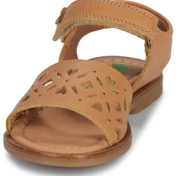El Naturalista - 15235-CUERO Camel New