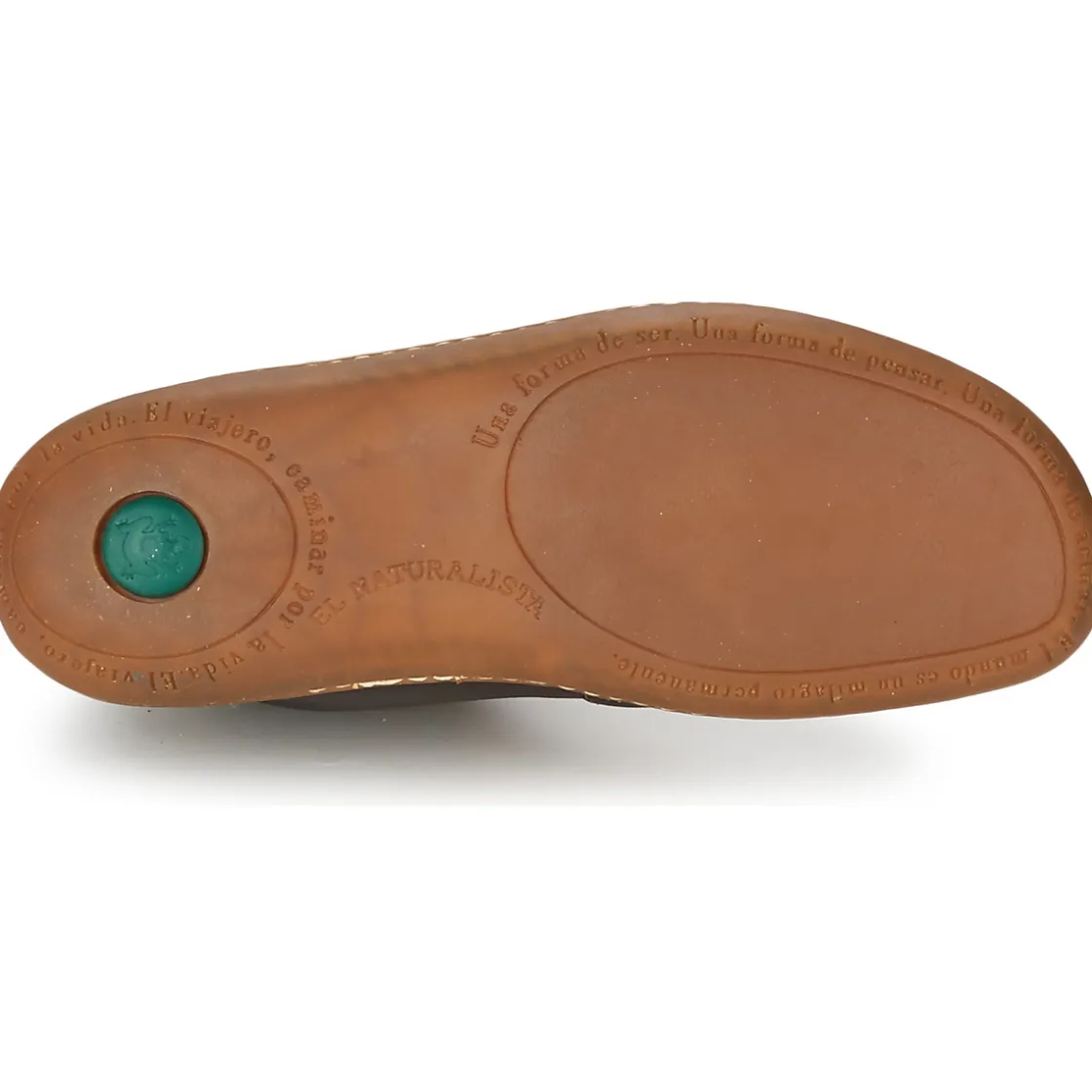 El Naturalista Bottines / Boots^- EL VIAJERO N267