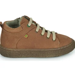 El Naturalista - HELMET Marron Online