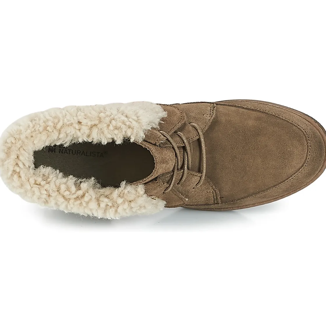 El Naturalista - LICHEN< Bottines / Boots