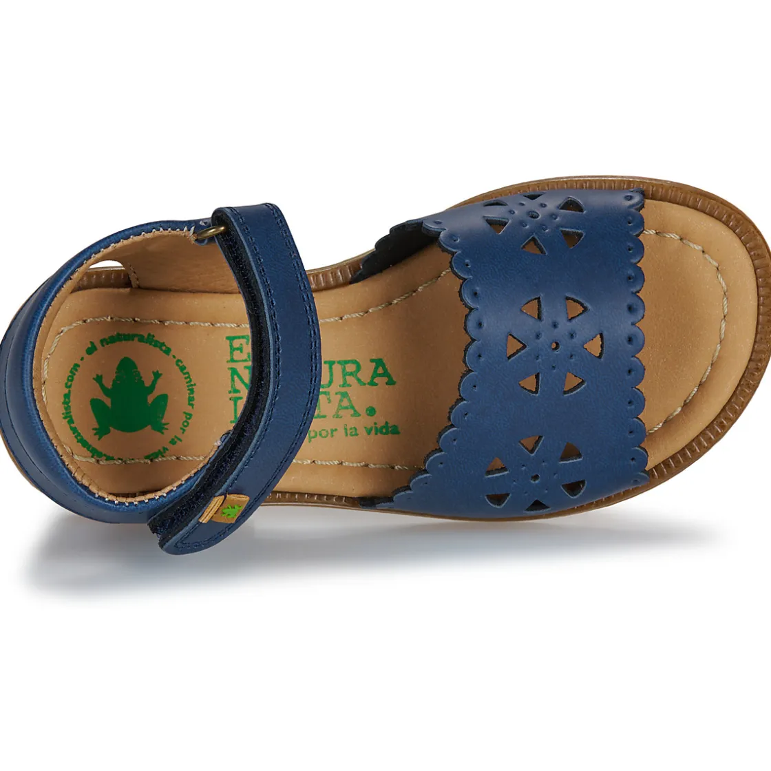 El Naturalista - 15204-MARINO Marine Online