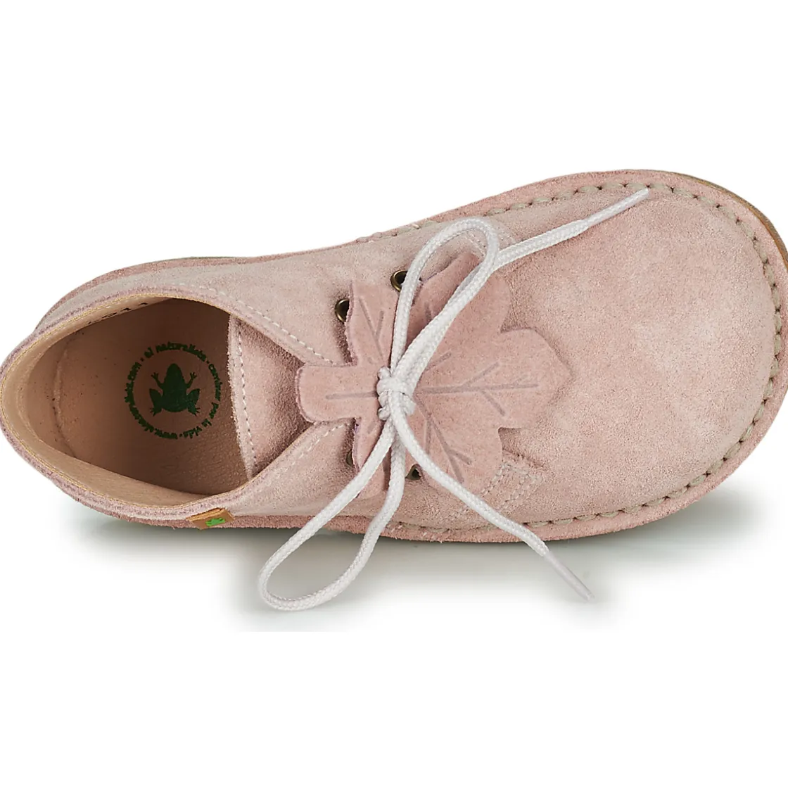 El Naturalista Bottines / Boots^- NASHVILLE