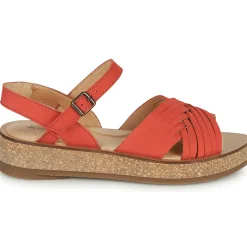 El Naturalista - N5590-CORAL Rouge New