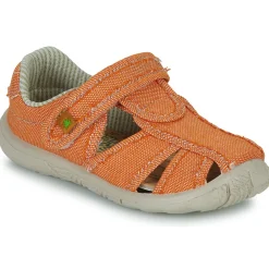 El Naturalista - NT74196 Orange Discount
