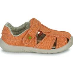 El Naturalista - NT74196 Orange Discount