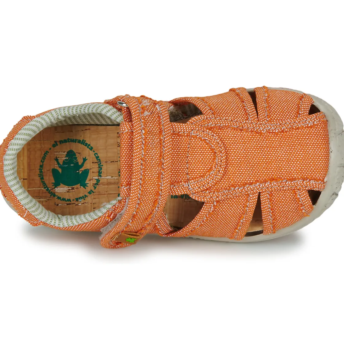 El Naturalista - NT74196 Orange Discount