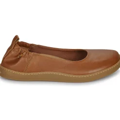 El Naturalista - ORIGEN N5912 Marron Online
