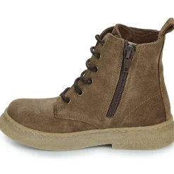 El Naturalista - Polvere Marron Sale
