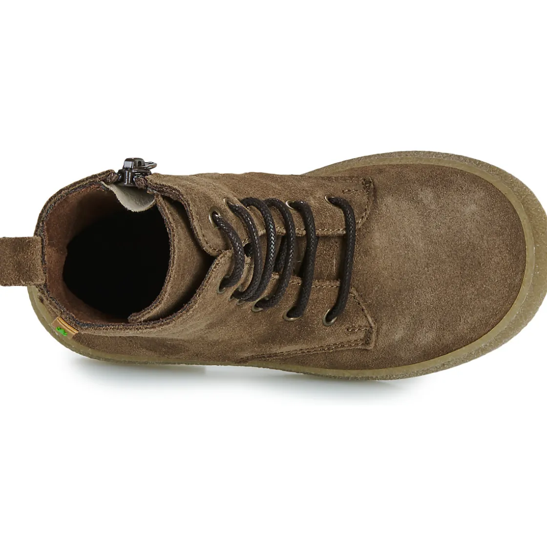 El Naturalista - Polvere Marron Sale