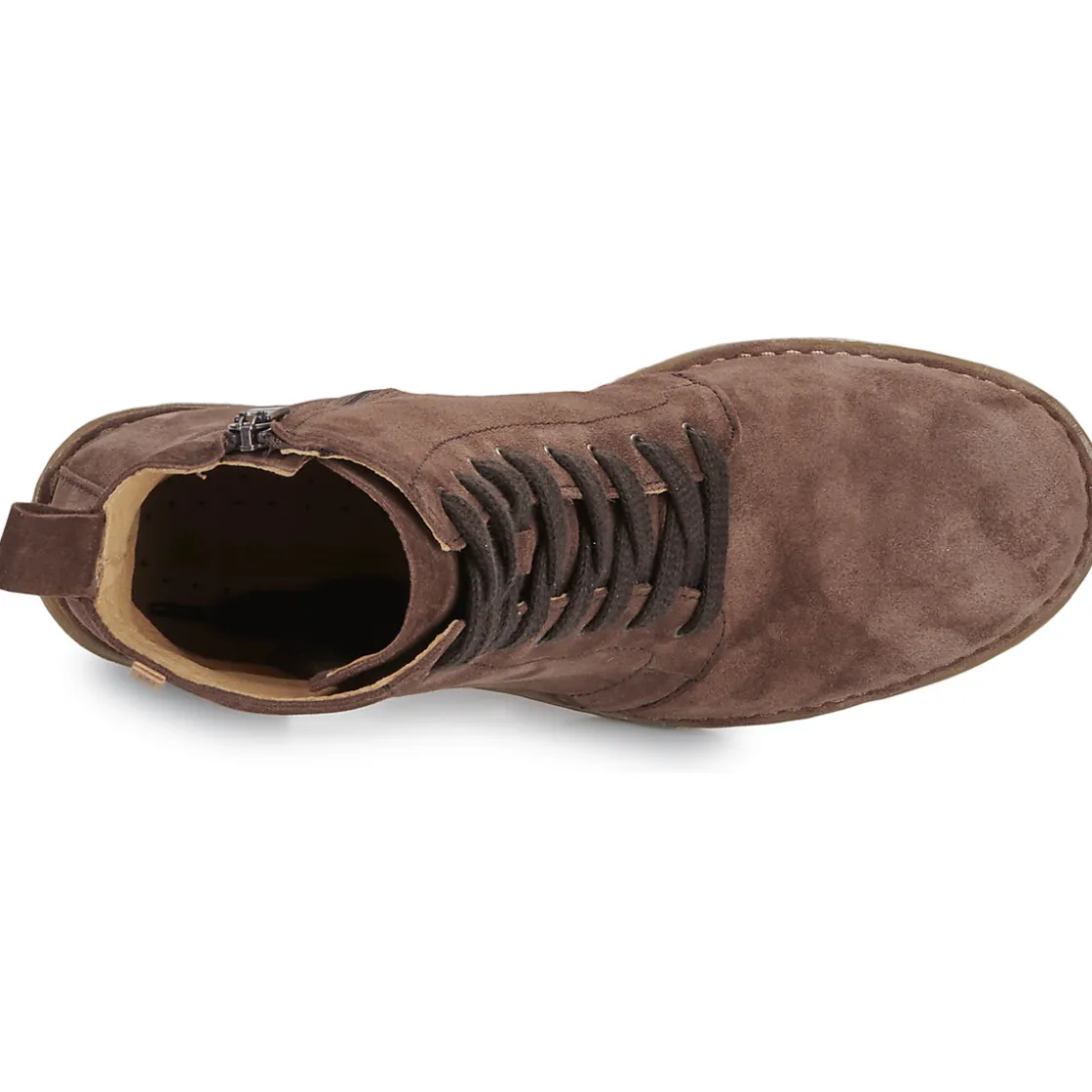 El Naturalista Bottines / Boots^- TICINO N5660