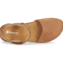 El Naturalista - WAKATAUA N412 Marron New