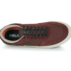 Element - HEATLEY 2.0 Bordeaux Outlet