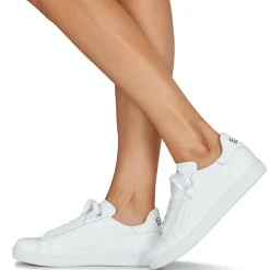 Emporio Armani EA7 - CLASSIC NEW CC Blanc Online