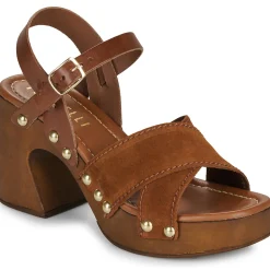 Fericelli - ADONIS Camel Online