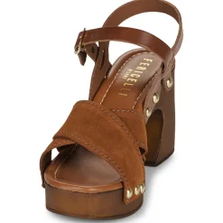 Fericelli - ADONIS Camel Online