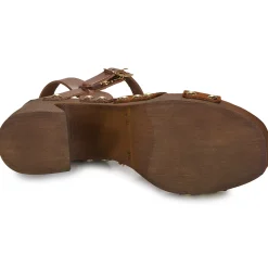 Fericelli - ADONIS Camel Online