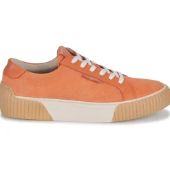 Fericelli Baskets Mode^- FEERIQUE