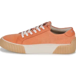 Fericelli Baskets Mode^- FEERIQUE