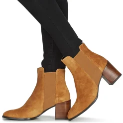 Fericelli - NONUTS Camel Discount