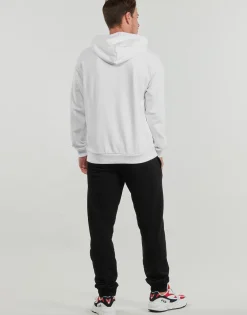 Fila Sweats & Polaires^- BENGEL REGULAR HOODY