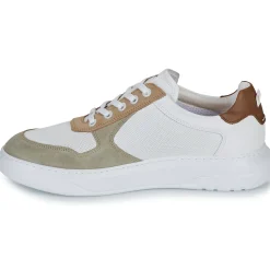 Fluchos Baskets Mode^- BOSTON