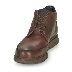 Fluchos - CELTIC Marron Clearance