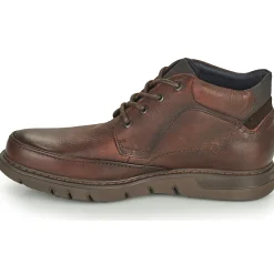 Fluchos - CELTIC Marron Clearance