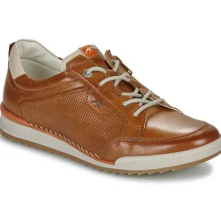 Fluchos - ELDER Marron Best