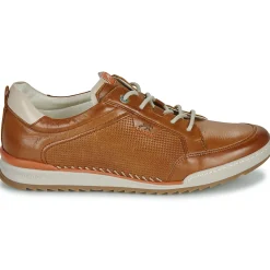 Fluchos - ELDER Marron Best